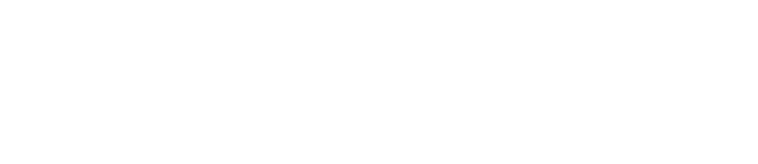 Surf-palace_logo