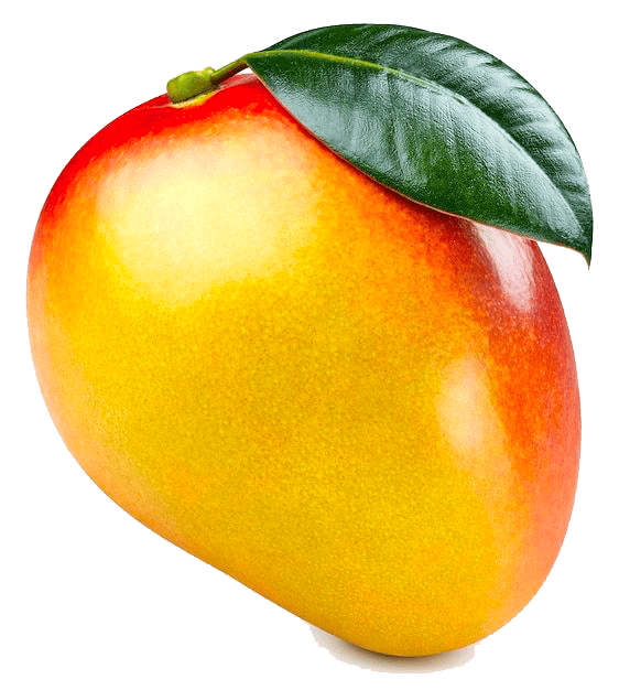 mangue-tropic